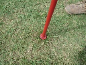 A person holding a weeding tool and looking at weeds in the garden