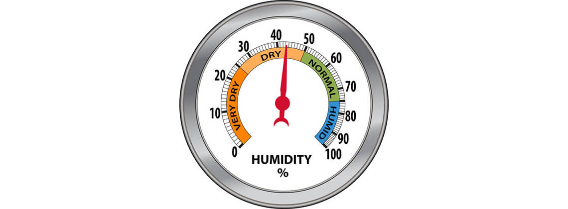 Best Thermometer for Humidity