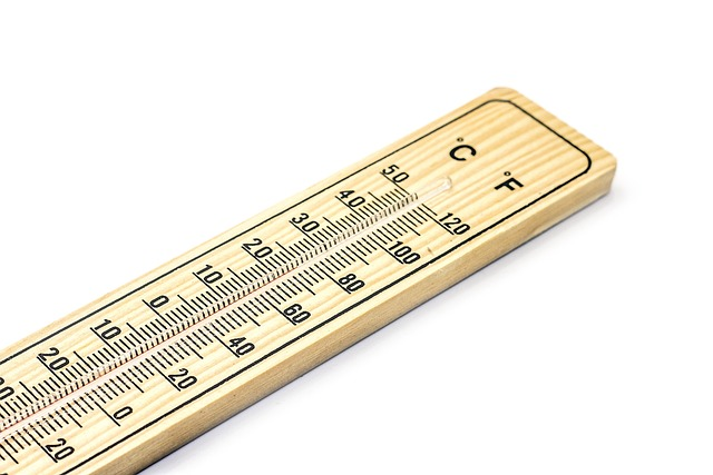 Thermometer with Celsius and Fahrenheit Scale