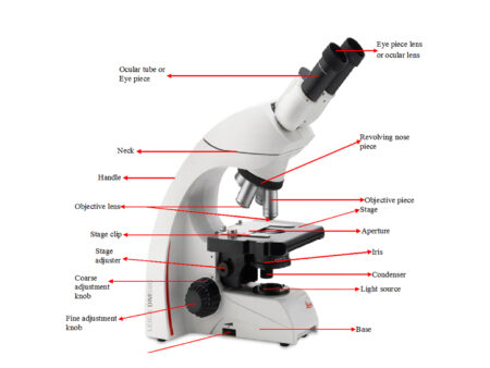 Microscope Part: A Guide to Functions and Uses