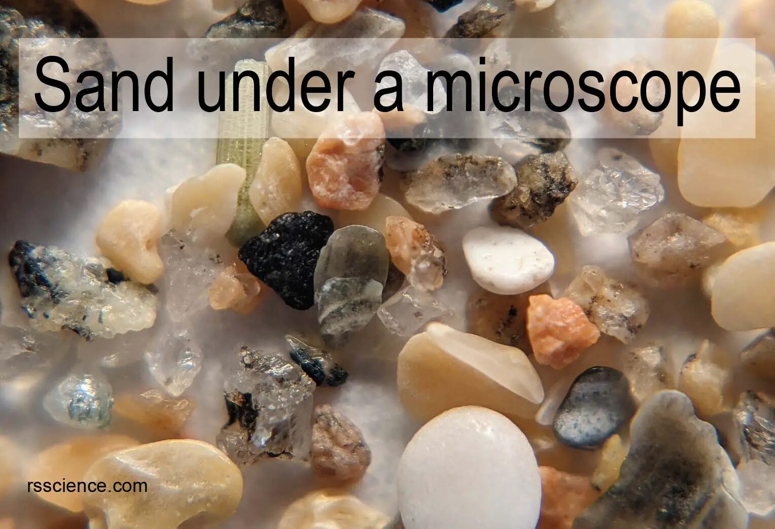 Sand Under Microscope