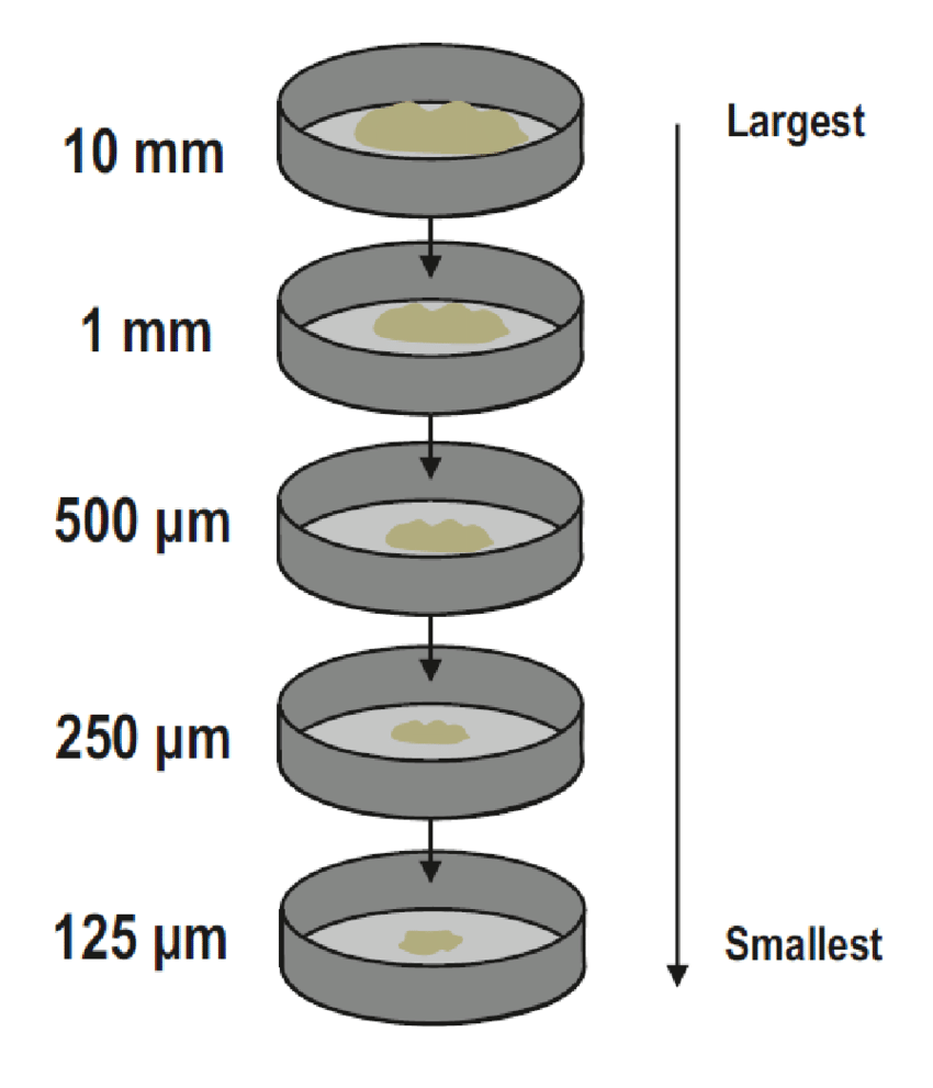 Illustration of Sieves Used for Analysis