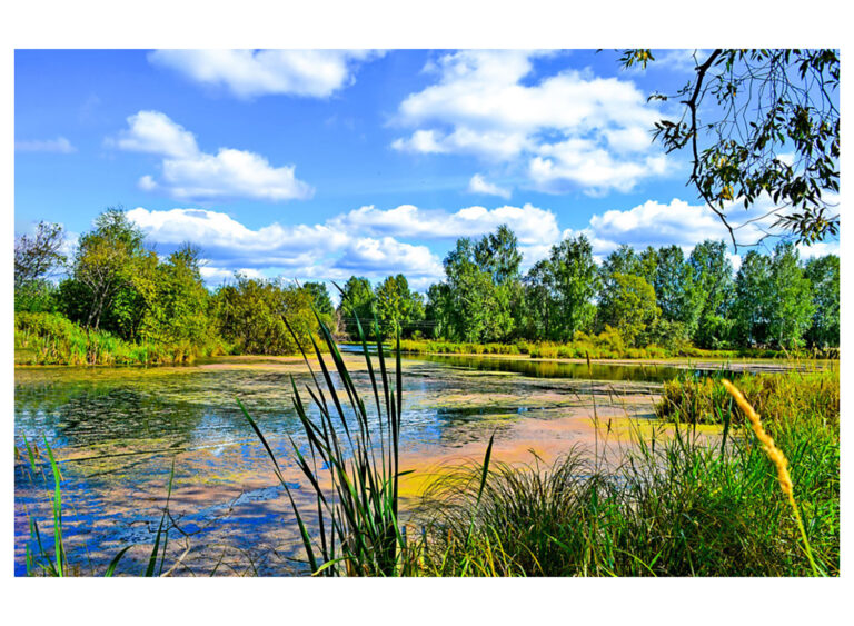 Dissolved Oxygen Testing Procedure: A Guide in 2024
