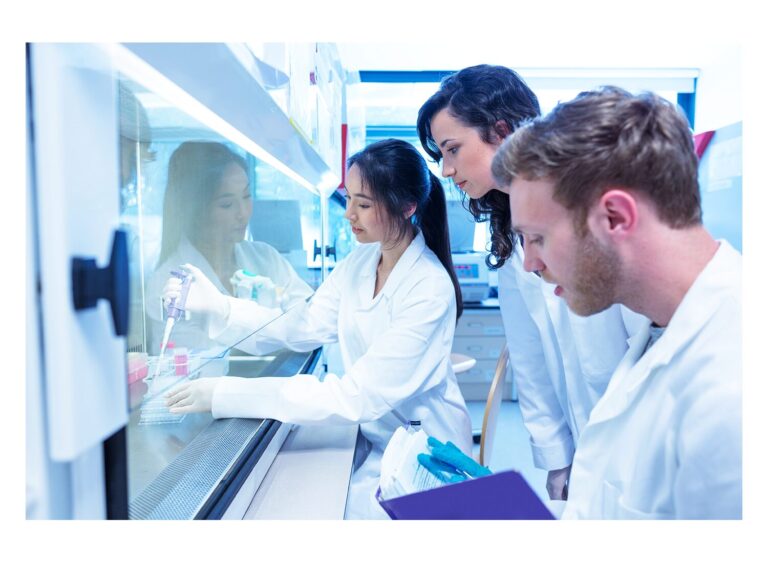 Lab Convection Oven: The Laboratory Benefits