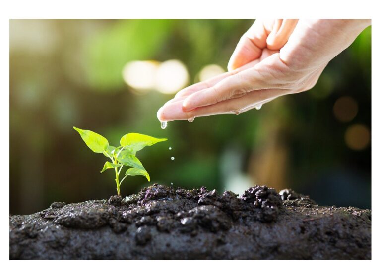 Top Professional Soil pH Tester Picks: Maximize Your Garden