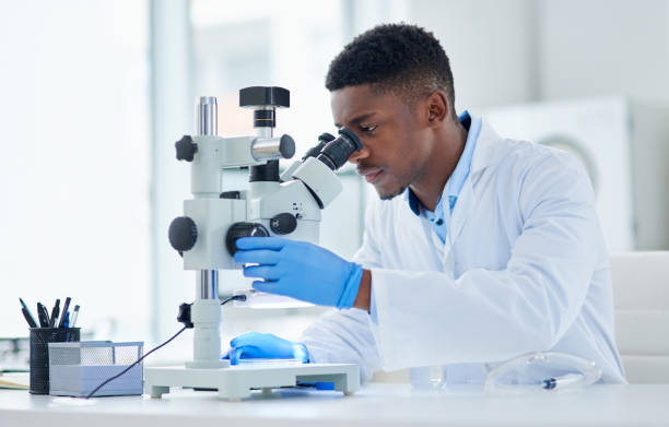Scientist using a microscope in the laboratory